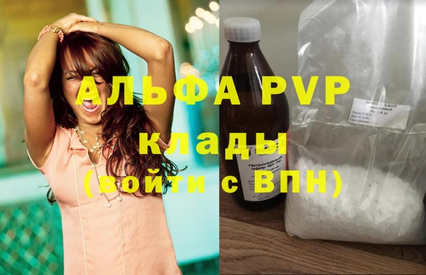 шишки Алексин