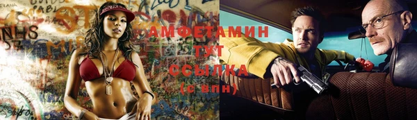 шишки Алексин