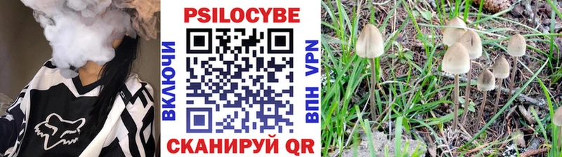 OMG ссылка  Наволоки  Псилоцибиновые грибы мицелий 